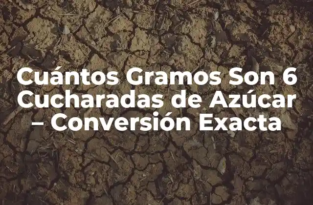 Cuántos Gramos Son 6 Cucharadas de Azúcar – Conversión Exacta