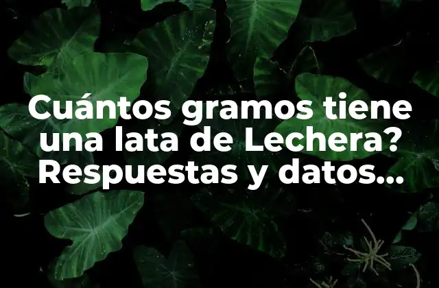Cuántos Gramos Tiene una Lata de Lechera? Respuestas y Datos Precisos