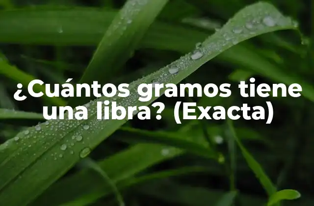 ¿cuántos Gramos Tiene una Libra? (exacta)