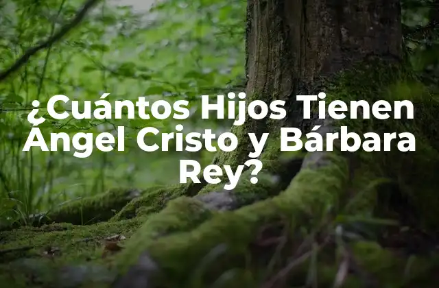 Ángel Cristo, un Actor de Televisión con una Larga Trayectoria