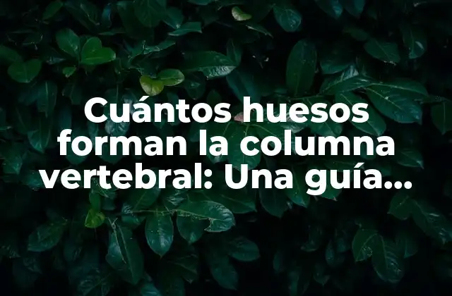 Cuántos Huesos Forman la Columna Vertebral: una Guía Detallada