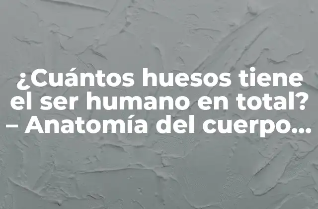 ¿cuántos Huesos Tiene el Ser Humano en Total? – Anatomía Del Cuerpo Humano