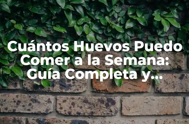 Cuántos Huevos Puedo Comer a la Semana: Guía Completa y Saludable