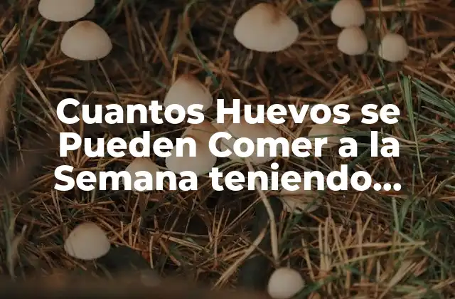Cuantos Huevos Se Pueden Comer a la Semana Teniendo Colesterol