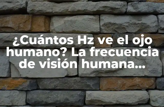 ¿cuántos Hz Ve el Ojo Humano? la Frecuencia de Visión Humana Explicada