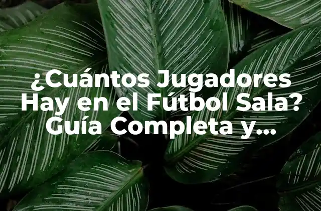 ¿cuántos Jugadores Hay en el Fútbol Sala? Guía Completa y Detallada