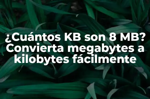 ¿cuántos Kb Son 8 Mb? Convierta Megabytes a Kilobytes Fácilmente