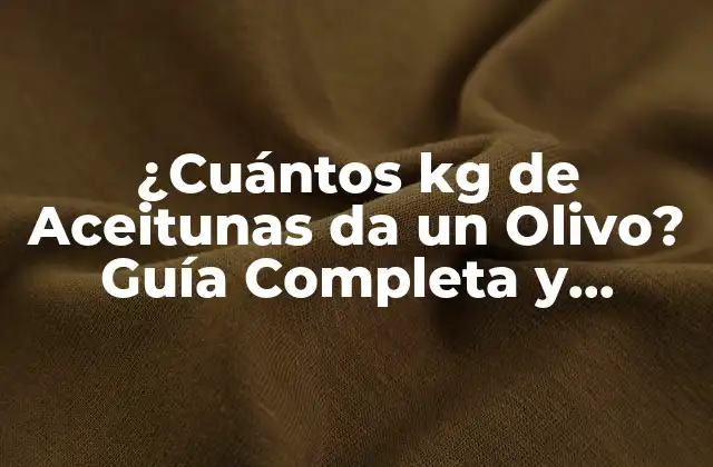 ¿cuántos Kg de Aceitunas Da un Olivo? Guía Completa y Detallada