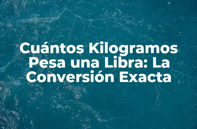 ¿Qué es una Libra?