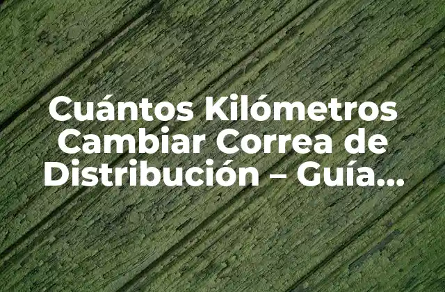 Cuántos Kilómetros Cambiar Correa de Distribución – Guía Completa