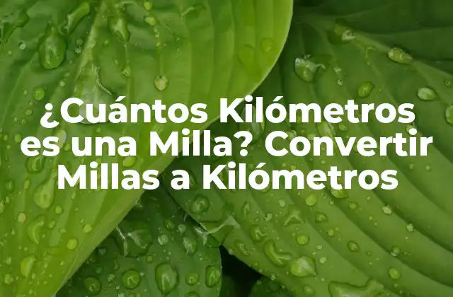 ¿cuántos Kilómetros es una Milla? Convertir Millas a Kilómetros