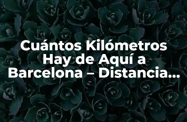 Cuántos Kilómetros Hay de Aquí a Barcelona – Distancia Exacta