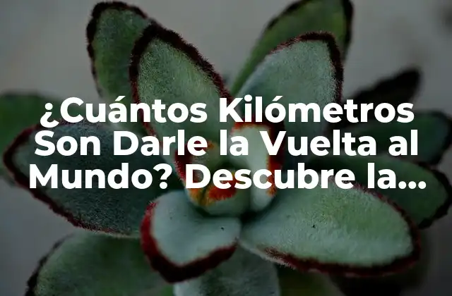 ¿cuántos Kilómetros Son Darle la Vuelta Al Mundo? Descubre la Respuesta Exacta
