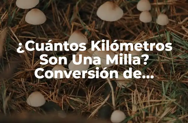 ¿cuántos Kilómetros Son una Milla? Conversión de Distancia Exacta