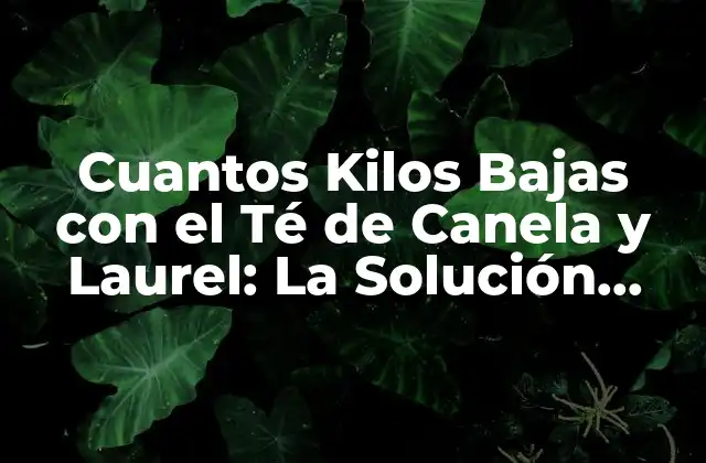 Cuantos Kilos Bajas con el Té de Canela y Laurel: la Solución Natural para Perder Peso