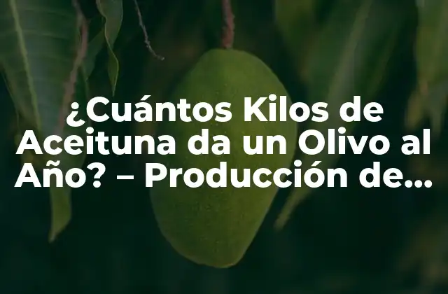 ¿cuántos Kilos de Aceituna Da un Olivo Al Año? – Producción de Aceitunas por Olivo