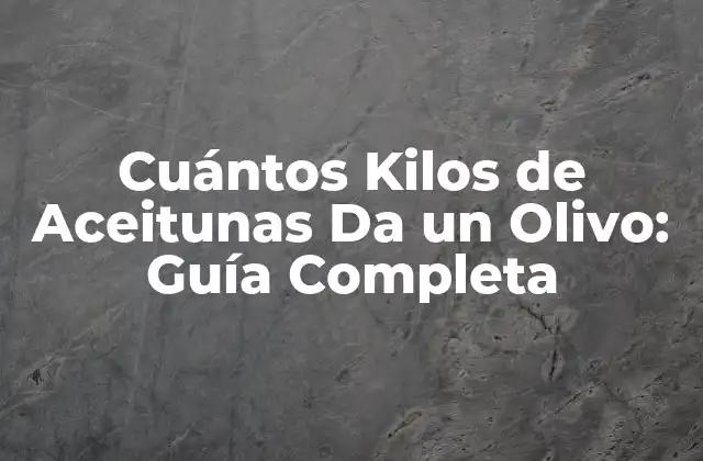 Cuántos Kilos de Aceitunas Da un Olivo: Guía Completa