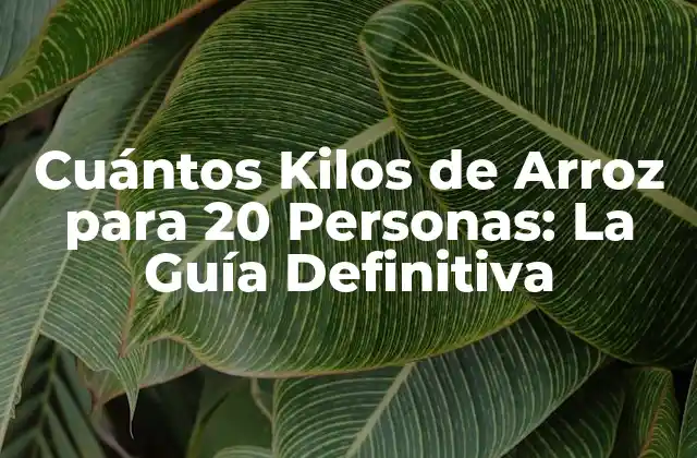 Cuántos Kilos de Arroz para 20 Personas: la Guía Definitiva