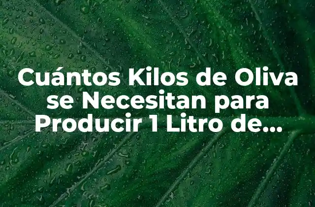 Cuántos Kilos de Oliva Se Necesitan para Producir 1 Litro de Aceite de Oliva