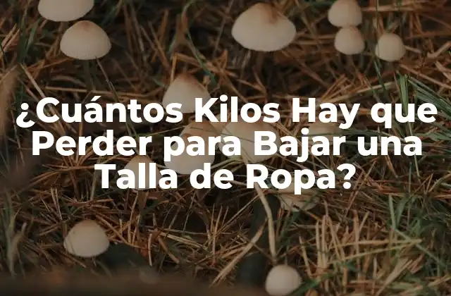 ¿cuántos Kilos Hay que Perder para Bajar una Talla de Ropa?