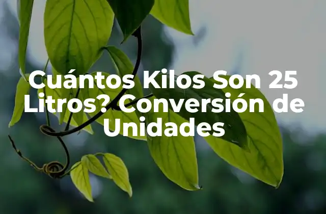 Cuántos Kilos Son 25 Litros? Conversión de Unidades