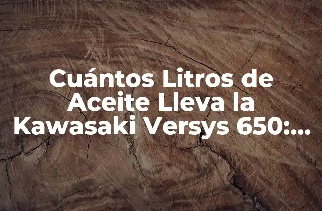 Cuántos Litros de Aceite Lleva la Kawasaki Versys 650: Guía Detallada
