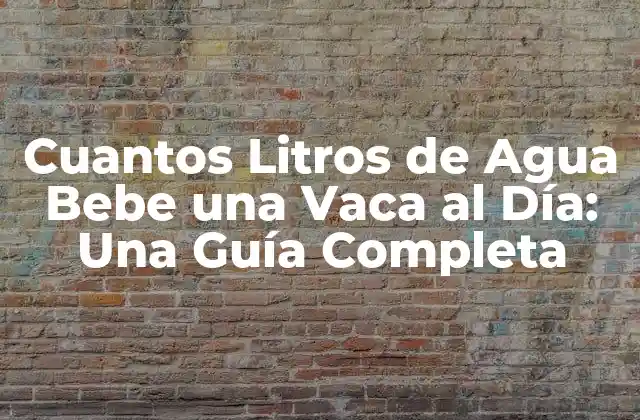 Cuantos Litros de Agua Bebe una Vaca Al Día: una Guía Completa