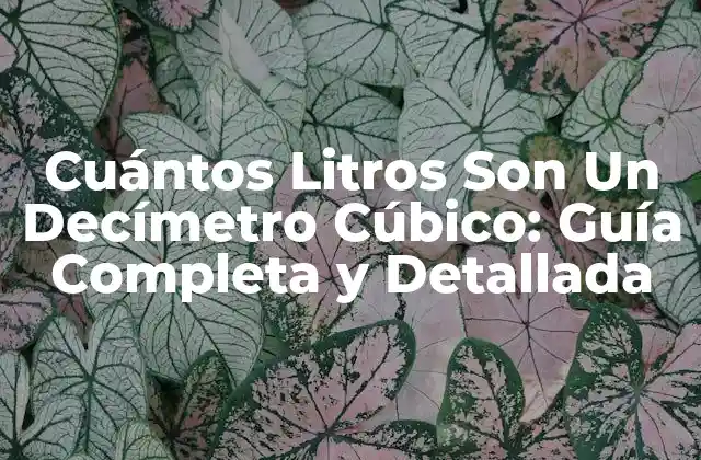 Cuántos Litros Son un Decímetro Cúbico: Guía Completa y Detallada