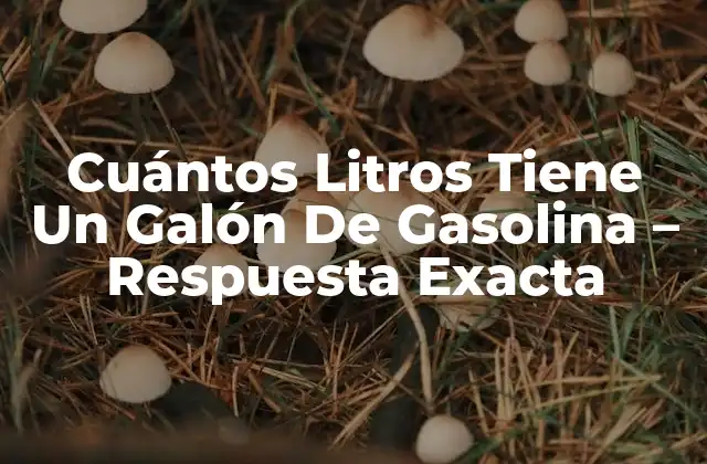 Cuántos Litros Tiene un Galón de Gasolina – Respuesta Exacta