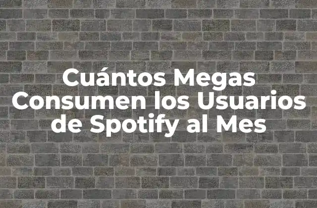 Cuántos Megas Consumen los Usuarios de Spotify Al Mes