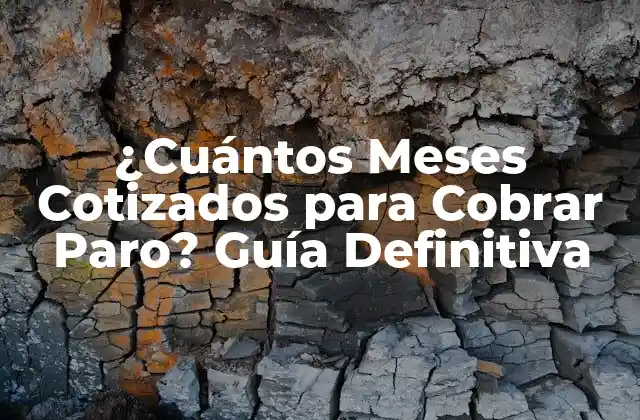 ¿Cuántos Mesos Cotizados Son Necesarios para Cobrar el Paro?