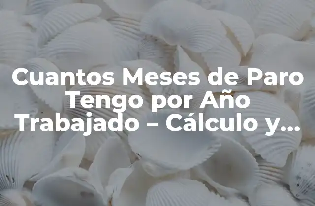 Cuantos Meses de Paro Tengo por Año Trabajado – Cálculo y Requisitos