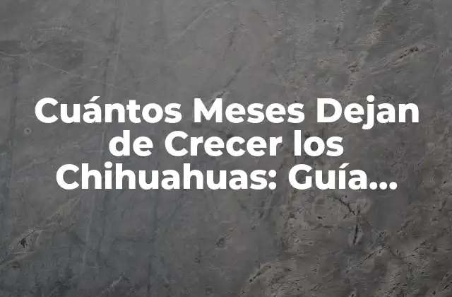 Cuántos Meses Dejan de Crecer los Chihuahuas: Guía Definitiva