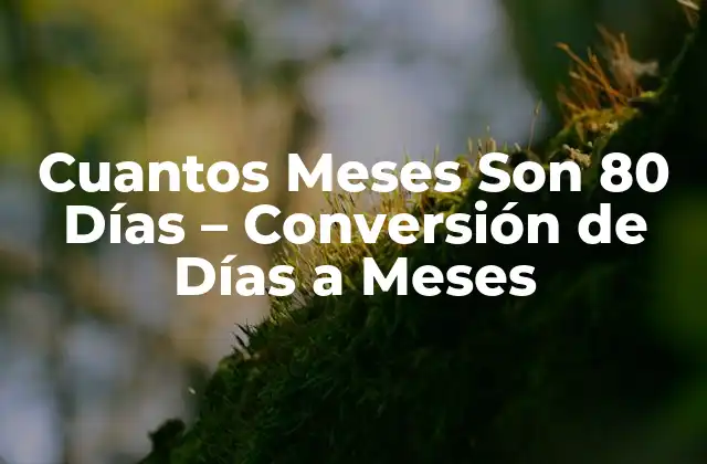 Cuantos Meses Son 80 Días – Conversión de Días a Meses