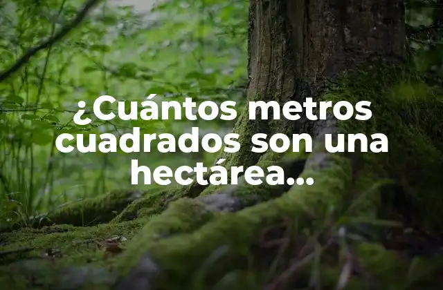 Definición de hectárea y su historia