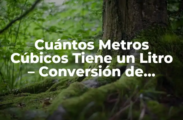 Cuántos Metros Cúbicos Tiene un Litro – Conversión de Unidades