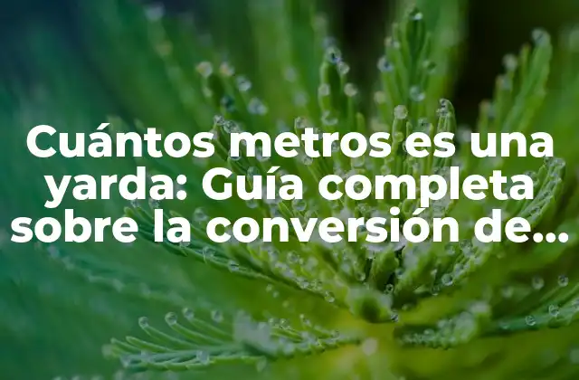 Cuántos Metros es una Yarda: Guía Completa sobre la Conversión de Unidades