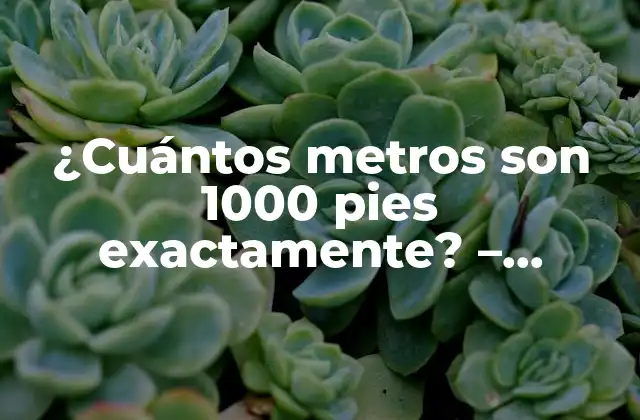¿cuántos Metros Son 1000 Pies Exactamente? – Medida de Longitud Exacta
