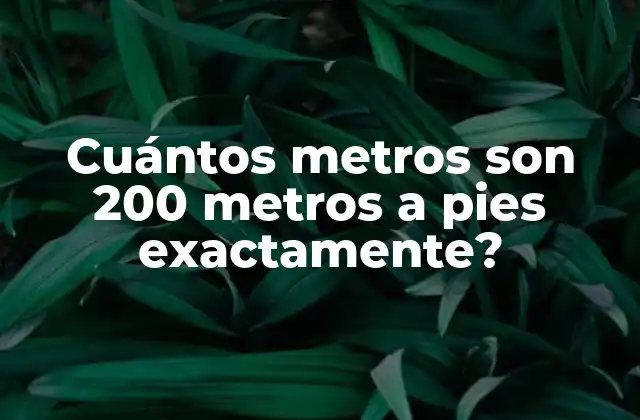 Cuántos Metros Son 200 Metros a Pies Exactamente?