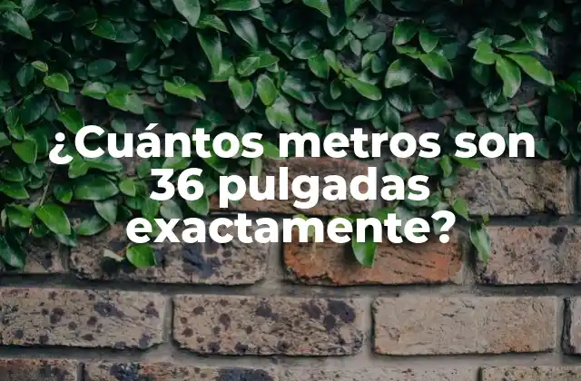¿cuántos Metros Son 36 Pulgadas Exactamente?