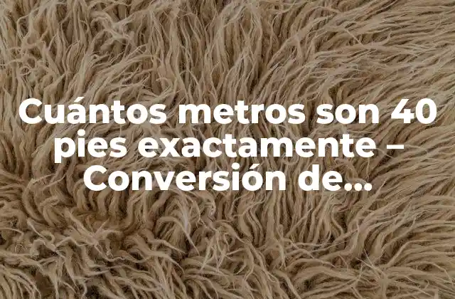 Cuántos Metros Son 40 Pies Exactamente – Conversión de Unidades