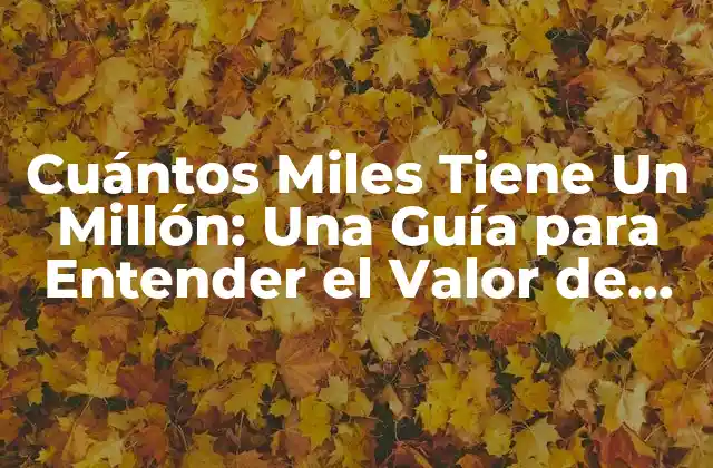 ¿Qué es un Millón?