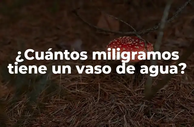 ¿cuántos Miligramos Tiene un Vaso de Agua?