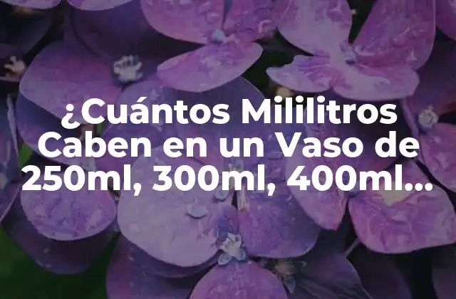 ¿cuántos Mililitros Caben en un Vaso de 250ml, 300ml, 400ml, Etc.?