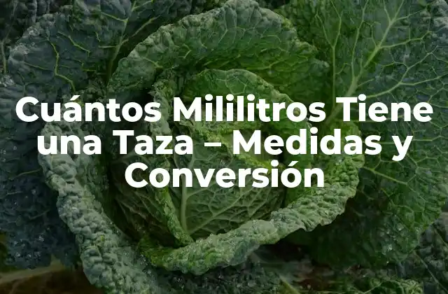 Cuántos Mililitros Tiene una Taza – Medidas y Conversión