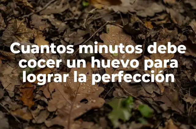 Cuantos Minutos Debe Cocer un Huevo para Lograr la Perfección