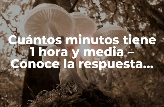 Cuántos Minutos Tiene 1 Hora y Media – Conoce la Respuesta Exacta