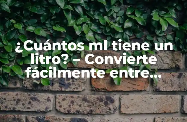 ¿cuántos Ml Tiene un Litro? – Convierte Fácilmente entre Unidades de Volumen
