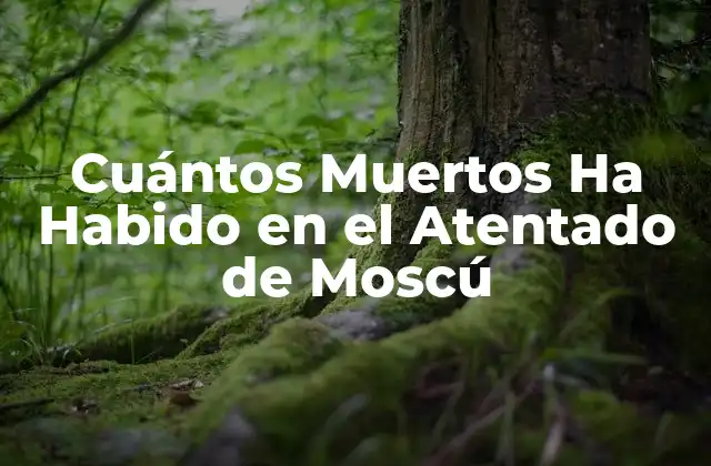 Cuántos Muertos Ha Habido en el Atentado de Moscú 2 El Atentado de Moscú: Cronología de los Hechos