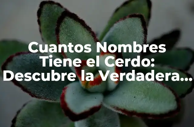 Cuantos Nombres Tiene el Cerdo: Descubre la Verdadera Identidad Del Animal